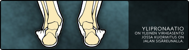 tukipohjalliset_sis_perus6