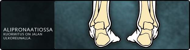 tukipohjalliset_sis_perus7